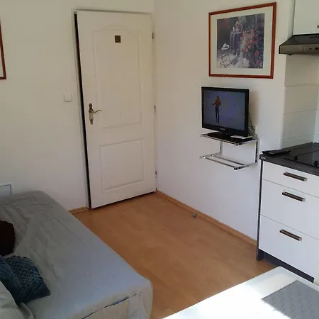 Holiday Apartments Karlovy Vary קרלובי וארי