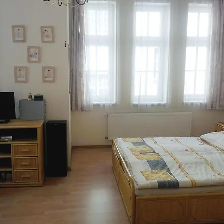 Holiday Apartments Karlovy Vary דירה